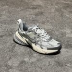 V2k Run